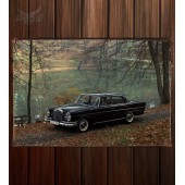 Металлическая табличка Mercedes-Benz 220Sb (W111 W112)